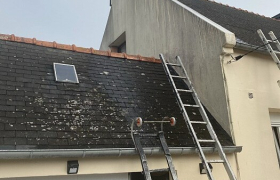 Démoussage de toiture 